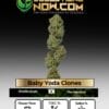 Baby Yoda Clones(space) ACC