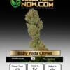 Baby Yoda Clones(space) ACC
