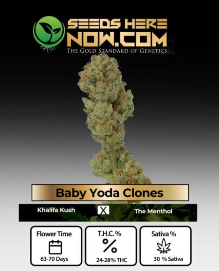 Acc - Baby Yoda Clones