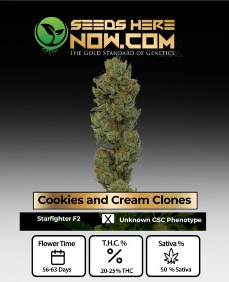 Cookies and Cream Clones - Acc