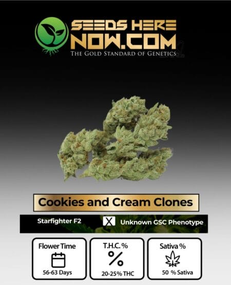 Cookies and Cream Clones - Acc