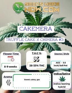 ACC - Cakemera Clones