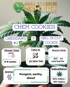 Chem Cookies Clones - Acc