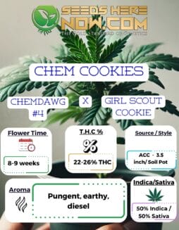 ACC - Chem Cookies