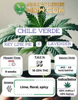 Chile Verde Clones- ACCChile Verde Clones- ACC