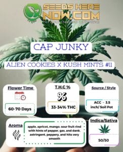 Cap Junky Clones - Acc