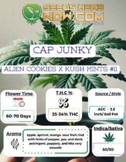 ACC - Cap Junky Clones