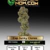 Cap junky clones - acc