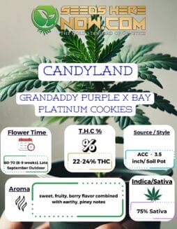 ACC - Candyland Clones