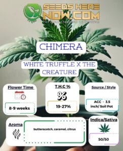 Chimera Clones - Acc