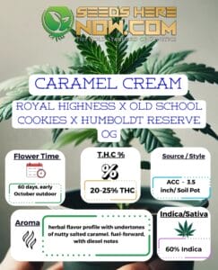 Caramel Cream Clones - Acc