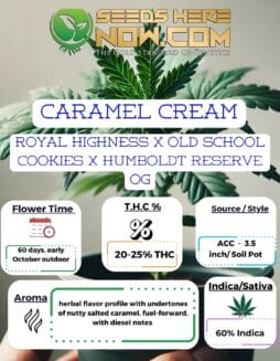 ACC - Caramel Cream Clones