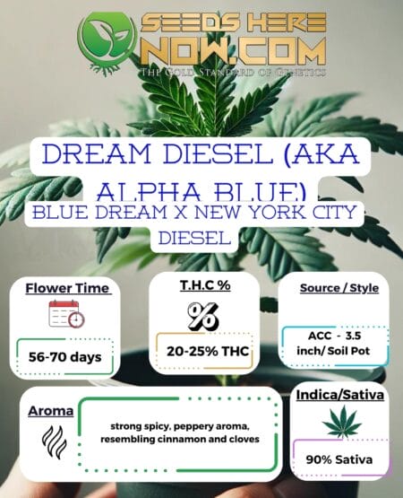 Dream diesel (aka alpha blue) clones - acc