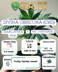 Divina Obscura (cbd) Clones- Acc
