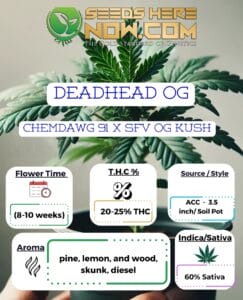 Deadhead Og Clones- Acc