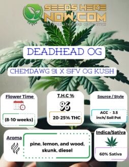 Deadhead OG Clones- ACCDeadhead OG Clones- ACC