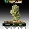 DJ Short Blueberry Clones (space) ACC