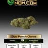 Dosi Punch Clones (space) ACC