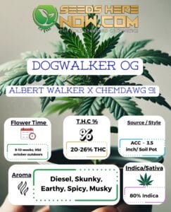 Dogwalker Og Clones- Acc