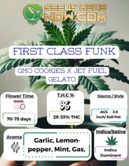 First Class Funk Clones - ACCFirst Class Funk Clones - ACC