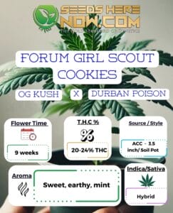 Forum Girl Scout Cookies Clones - Acc