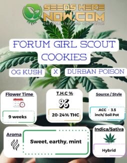 ACC - Forum Girl Scout Cookies