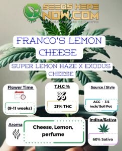 Franco’s Lemon Cheese Clones - Acc