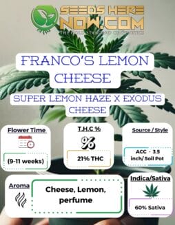 ACC - Franco’s Lemon Cheese Clones