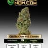 Gorilla Glue #12 Clones - Acc