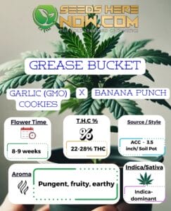 Grease Bucket Clones- Acc