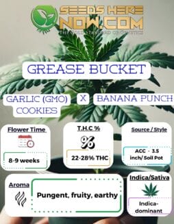 ACC - Grease BucketACC - Grease Bucket