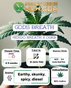 Gods Breath Clones - Acc