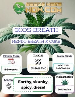 ACC - Gods Breath Clones