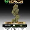 Gods Breath Clones - Acc