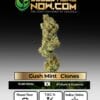 Gush Mint Clones (space) ACC