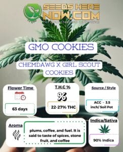 GMO Cookies Clones - ACC