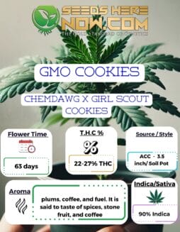 ACC - GMO Cookies Clones