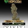 Grape MTN Clones (space) ACC