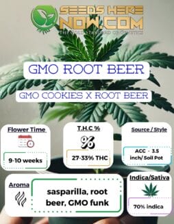 GMO Root Beer Clones - ACCGmo Root Beer Clones - Acc