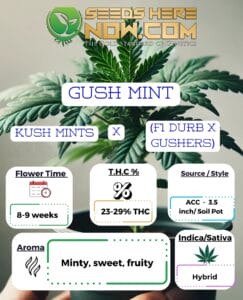 Gush Mint Clones - ACC