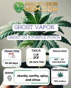 Ghost Vapor Clones - Acc