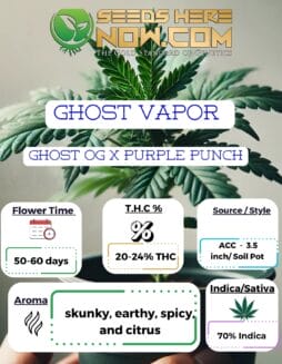 Ghost Vapor Clones - ACCGhost Vapor Clones - ACC