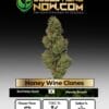 Honey Wine Clones - Acc