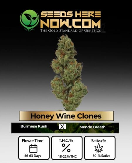 Acc - Honey Wine Clones