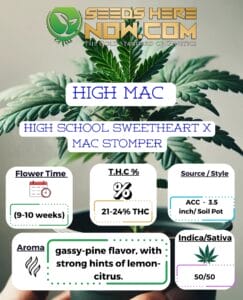 High Mac Clones - Acc