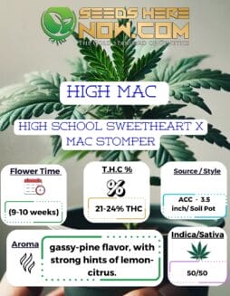 ACC - High Mac Clones