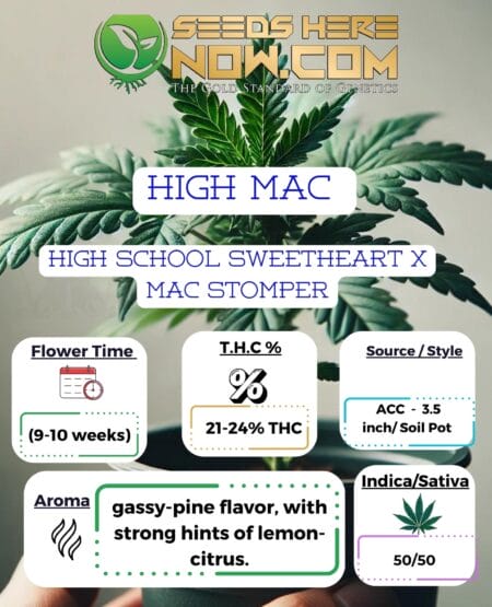 High mac clones - acc