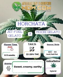 Horchata Clones- Acc