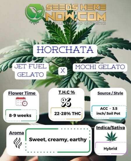Horchata Clones- Acc