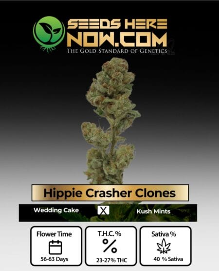 Hippie Crasher Clones